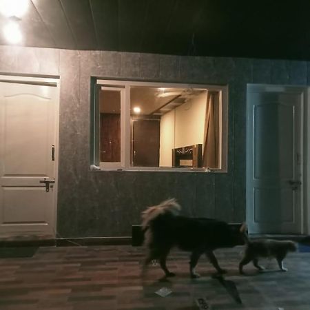 Eira Stay Нейнитал Екстериор снимка